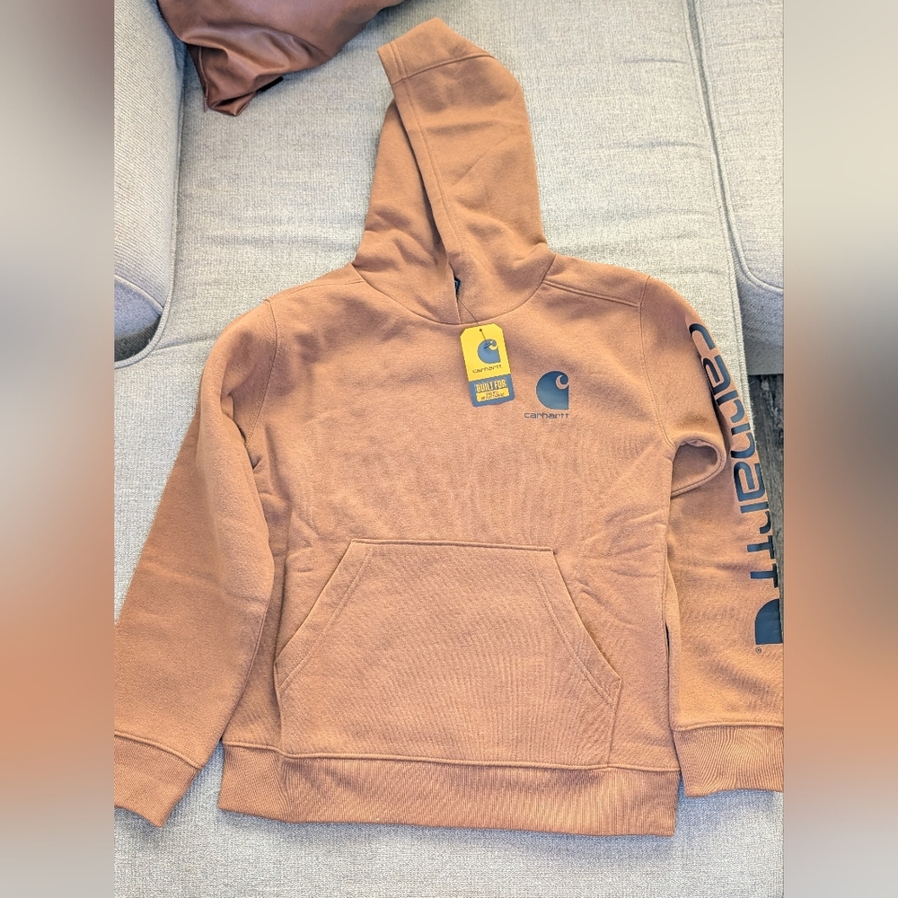 Carhartt Hoodie with Logo Sleeve